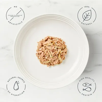 Encore Cat Broth Pouch 16 x 70g