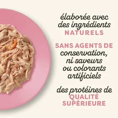 Applaws en gelée 16 x 70 g, sachets pour chat