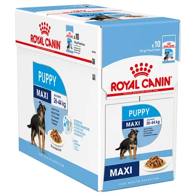 Royal Canin Puppy Maxi, vuxenvikt 26–44 kg, förpackning med 10 x 140 g portionspåsar. Bild på valp och våtfoder synlig på kartongen.
