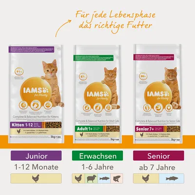Три упаковки корма IAMS для кошек: Kitten 1–12 месяцев, Adult 1+ лет, Senior 7+ лет. Подписи: Junior 1–12 Monate, Erwachsen 1–6 Jahre, Senior ab 7 Jahre. Текст на немецком языке.