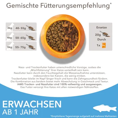 Priporočilo za mešano hranjenje mačk: 3 kg 40–55 g, 4 kg 50–65 g, 5 kg 55–75 g. Zamenjajte 20 g suhe hrane z 1x 85 g mokre hrane. Besedilo v nemščini.