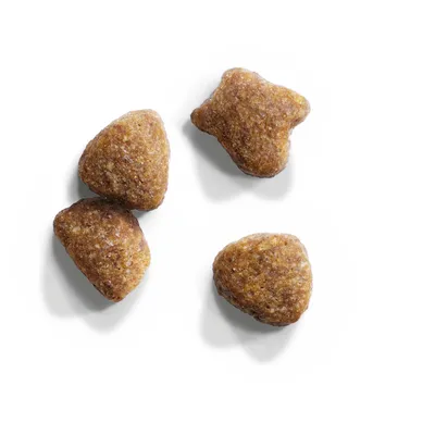 Cztery trójkątne granulki suchej karmy dla zwierząt na białym tle, widoczne szczegóły struktury powierzchni.