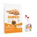 10 kg IAMS Advanced Nutrition Kitten + 709 ml Nature's Miracle Kaupan pääl!
