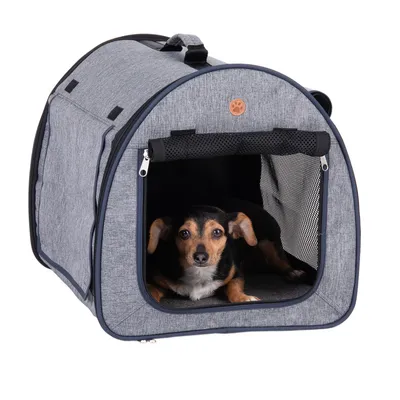 Transporttasche aus grauem Stoff mit Netzfenster und Reissverschluss, Hund liegt innen. Geeignet für Haustiertransport.