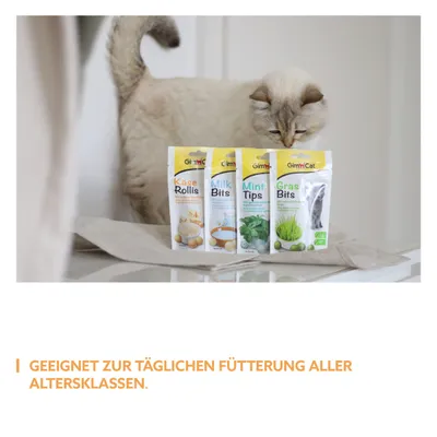 Quatre sachets GimCat : Käse Rollis, Milk Bits, Mint Tips, Gras Bits devant un chat. Texte en allemand : Geeignet zur täglichen Fütterung aller Altersklassen.