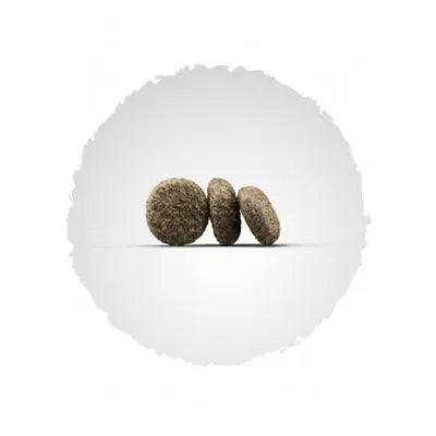 Kolme pyöreää, ruskeaa kuivaruokanappulaa vierekkäin valkoisella taustalla. Näkyvissä vain nappulat, ei pakkauksia tai brändiä.