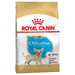 Royal Canin Chihuahua Puppy