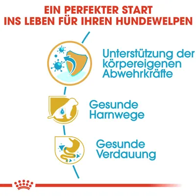 Ein perfekter Start ins Leben für Ihren Hundewelpen: Unterstützung der körpereigenen Abwehrkräfte, gesunde Harnwege, gesunde Verdauung.