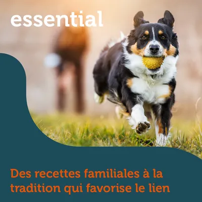 essential. Des recettes familiales à la tradition qui favorise le lien