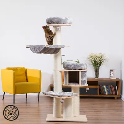 Котка върху многоетажна котешка катерушка с няколко платформи, легла и драскалки от въже, покрити със сива материя. Видими са и топки за игра.