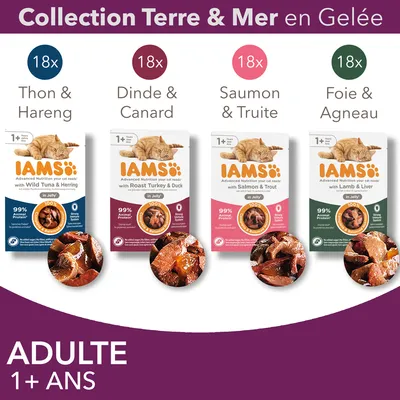 IAMS Collection Terre & Mer en gelée pour chat adulte 1+ an : 18x thon & hareng, 18x dinde & canard, 18x saumon & truite, 18x foie & agneau. 99 % protéines animales indiqué sur l’emballage.