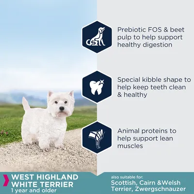 Prebiotic FOS and beet pulp for digestion, special kibble shape for clean teeth, animal proteins for lean muscles. For West Highland White Terrier aged 1 year and older.