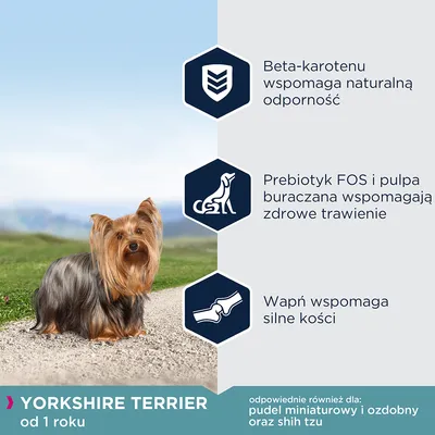 Yorkshire Terrier od 1 roku. Beta-karotenu wspomaga naturalną odporność, prebiotyk FOS i pulpa buraczana wspomagają zdrowe trawienie, wapń wspomaga silne kości.