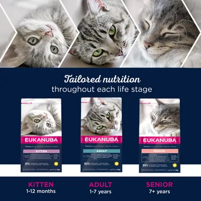 Eukanuba kattenvoer voor kitten (1–12 maanden), adult (1–7 jaar) en senior (7+ jaar); drie verpakkingen met kat, tekst: tailored nutrition throughout each life stage.