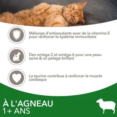 À l’agneau 1+ ans. Mélange d’antioxydants avec vitamine E, oméga-3 et oméga-6 pour peau saine et pelage brillant, taurine pour le muscle cardiaque. Texte en français.