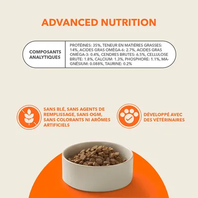 IAMS Advanced Nutrition Adult saumon pour chat