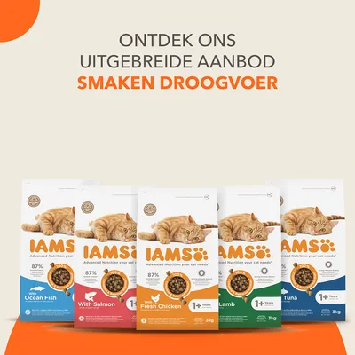 IAMS Advanced Nutrition Adult Cat met zalm