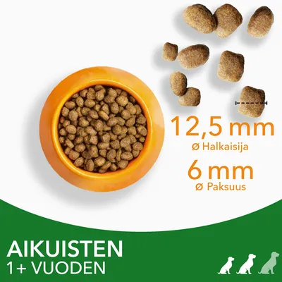 Koiran kuivaruokanappuloita kulhossa ja erikseen, halkaisija 12,5 mm, paksuus 6 mm. Teksti: AIKUISTEN 1+ VUODEN.