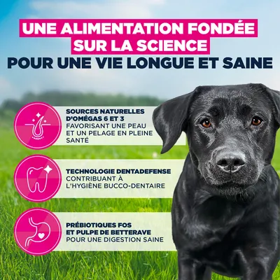 Eukanuba Premium Nutrition Adult Large et Giant Breed au poulet