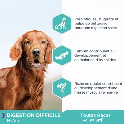 Prébotiques, butyrate et pulpe de betterave pour une digestion saine. Calcium pour des os solides. Riche en poulet pour la masse musculaire. Digestion difficile 1+ ans, toutes races.