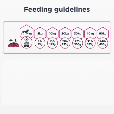 Насоки за хранене според теглото на кучето: 5 кг – 85–95 г, 10 кг – 130–145 г, 20 кг – 210–235 г, 30 кг – 275–305 г, 40 кг – 335–375 г, 60 кг – 440–490 г дневно.