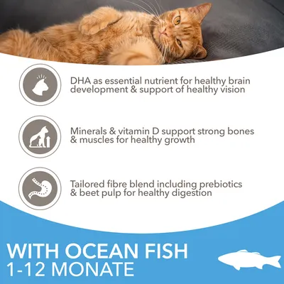 DHA for brain and vision, minerals and vitamin D for bones and muscles, fibre blend with prebiotics and beet pulp for digestion. With ocean fish. For ages 1-12 Monate.
