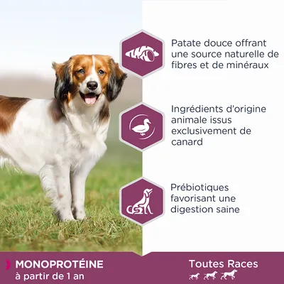 Patate douce source de fibres et minéraux, ingrédients d’origine animale issus exclusivement de canard, prébiotiques favorisant une digestion saine. Monoprotéine à partir de 1 an, toutes races.