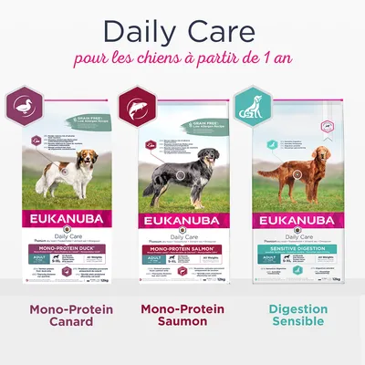 Trois sacs Eukanuba Daily Care pour chiens adultes : Mono-Protein Canard, Mono-Protein Saumon, Digestion Sensible. Texte visible : 'pour les chiens à partir de 1 an', formats 12 kg.