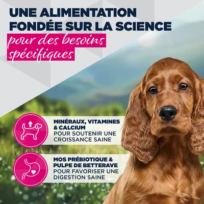 Eukanuba Special Care Puppy Digestion Sensible
