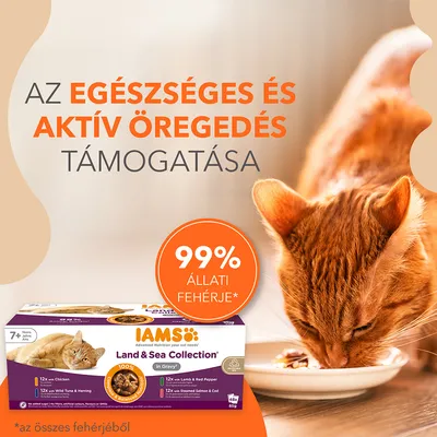 IAMS Land & Sea Collection macskaeledel csomagolás, 99% állati fehérje felirattal. Szöveg: Az egészséges és aktív öregedés támogatása. Narancssárga cica tálból eszik.