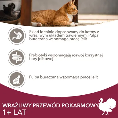 Skład dopasowany do kotów z wrażliwym układem trawiennym, prebiotyki wspomagają florę jelitową, pulpa buraczana wspomaga pracę jelit. Wrażliwy przewód pokarmowy 1+ lat.