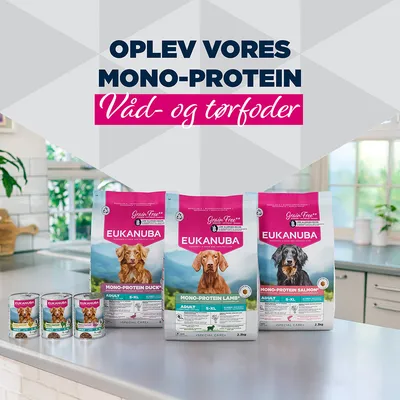 Eukanuba Kornfri Mono-Protein Vådfoder og Tørfoder, varianter med And, Lam og Laks, til voksne hunde. Pakninger og dåser vist. Eukanuba Kornfri Mono-Protein Vådfoder og Tørfoder, varianter med And, Lam og Laks, til voksne hunde. Pakninger og dåser vist.