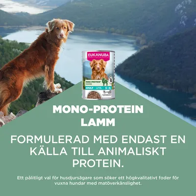 Eukanuba Special Care Adult Mono-Protein med lamm