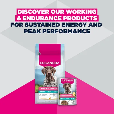 Eukanuba Special Care Working & Endurance Adult Eukanuba Special Care Working & Endurance Adult