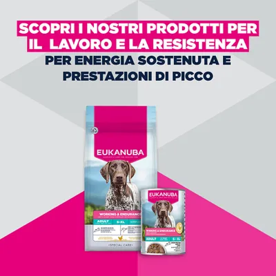 Eukanuba Special Care Working & Endurance Adult