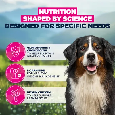 Eukanuba Special Care Sensitive Joints Adult