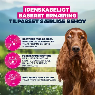 Eukanuba Special Care Sensitive Digestion Adult