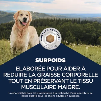 Eukanuba Daily Care Overweight Adult Dog