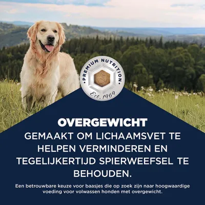 Eukanuba Special Care Overgewicht Adult Eukanuba Special Care Overgewicht Adult