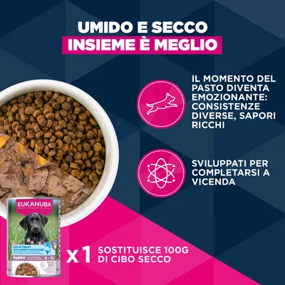 Eukanuba Premium Nutrition Puppy Small Breed Pollo