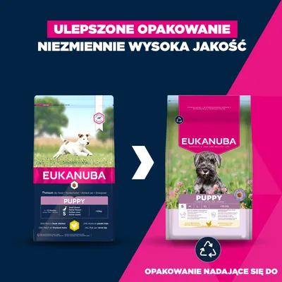 Eukanuba Premium Nutrition Puppy Small Breed, kurczak