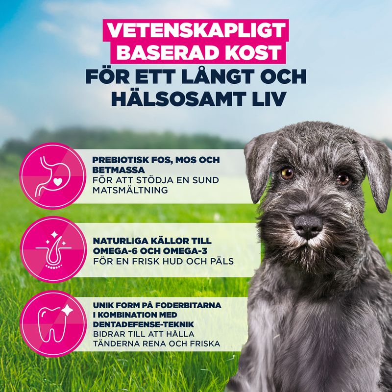 Eukanuba Premium Nutrition Puppy Small Breed Chicken