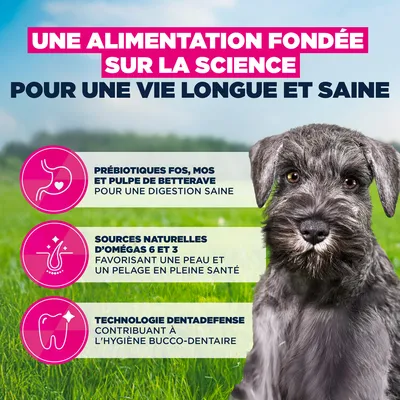 Eukanuba Premium Nutrition Puppy Small Breed au poulet