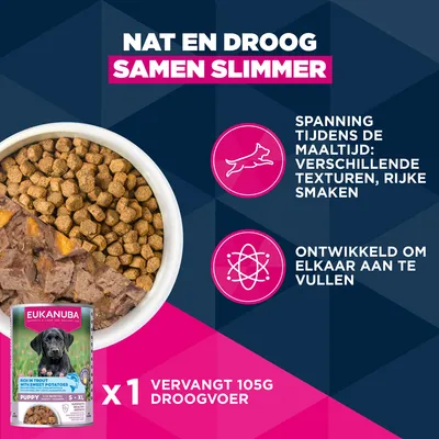 Eukanuba Premium Voeding Puppy Middelgroot Ras Kip