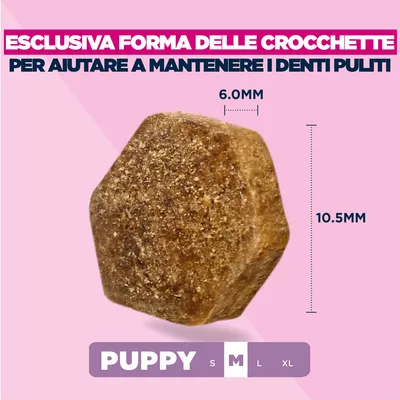 Eukanuba Premium Nutrition Puppy Medium Breed Pollo