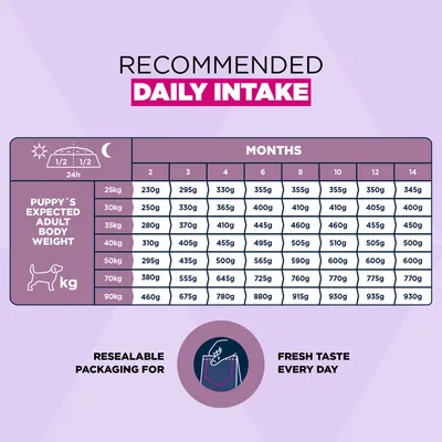 Eukanuba Premium Nutrition Puppy Large & Giant Breed csirke