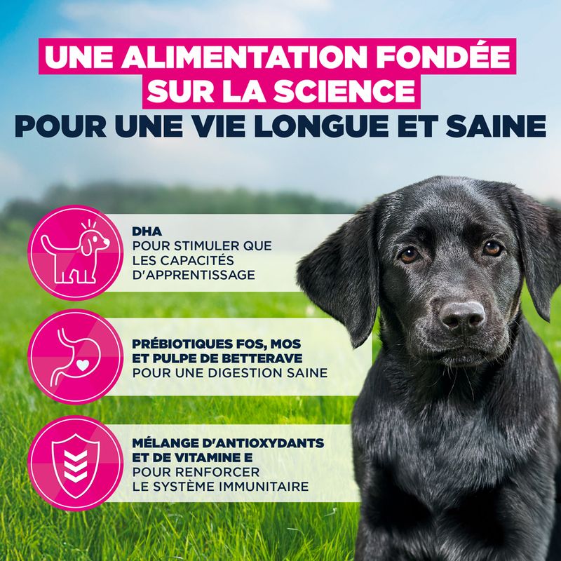 Eukanuba Premium Nutrition Puppy Large et Giant Breed au poulet