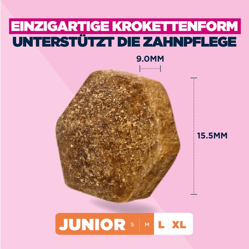 Eukanuba Premium Nutrition Junior Large & Giant Breed piščanec