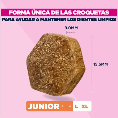 Eukanuba Premium Nutrition Junior Large & Giant Breed pollo