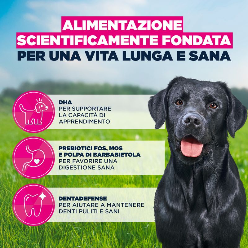 Eukanuba Premium Nutrition Junior Large & Giant Breed Pollo